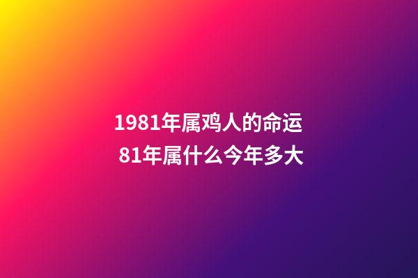 1981年属鸡人的命运 81年属什么今年多大-第1张-观点-玄机派